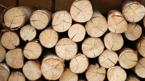 Wooden Logs Placed Beside Brick Wall. Dried Firewood Ready for Use on Background of Red Brick Wall