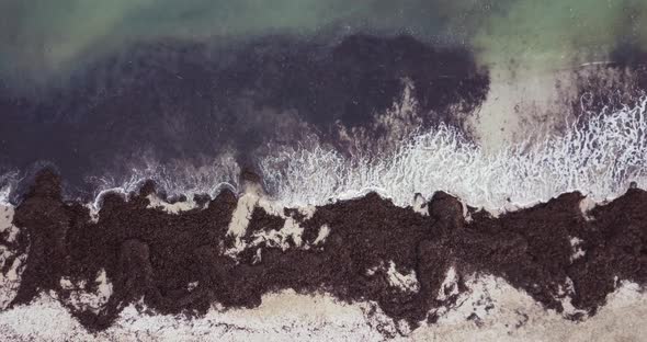 Calm waves lapping onto a beach filled with seaweed