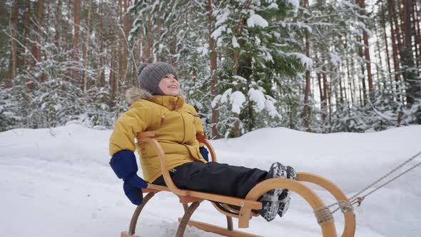 Cute Toddler is Riding Sledge in Winter Forest Having Fun and Joy During Family Walk in Nature