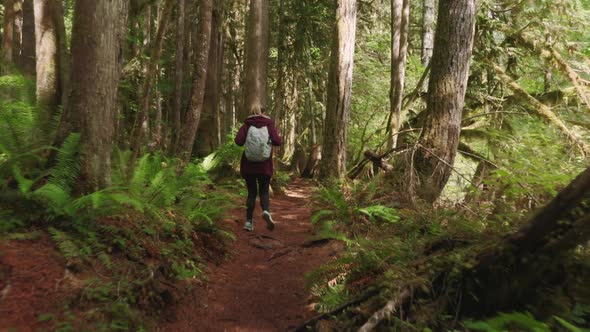 Happy Tourist Girl Walking Cinematic Rainforest in National Park Washington