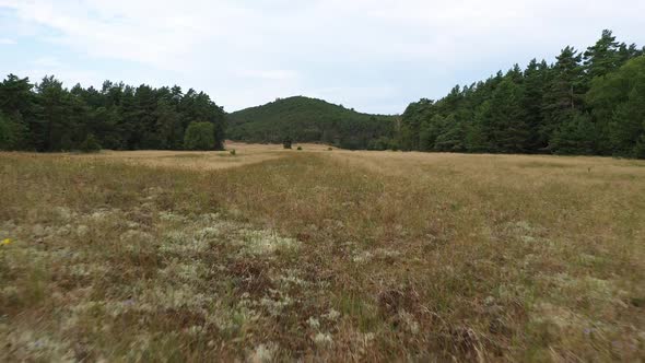 AERIAL: Low Flying Over Meadow with Hill and Forest in Background