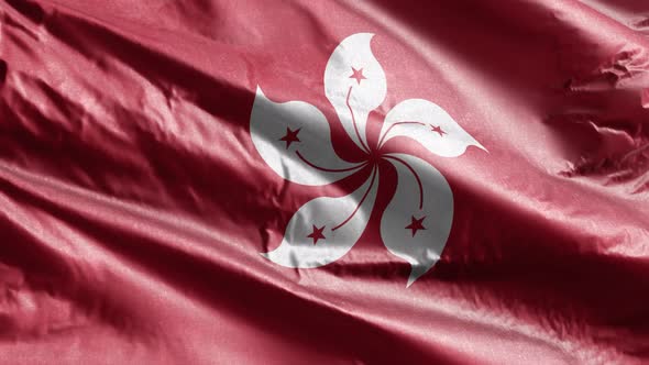 Hong Kong textile flag waving on the wind. 10 seconds loop.