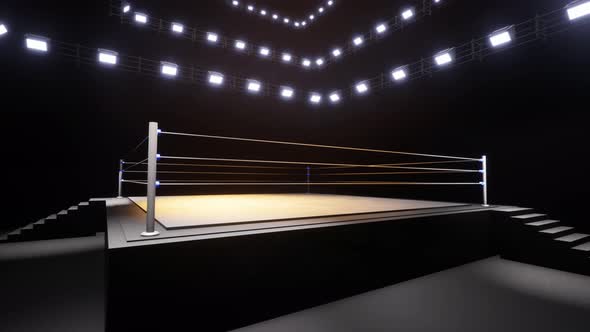 Sports Wrestling And Boxing. Sport 4K Professional Background Animation