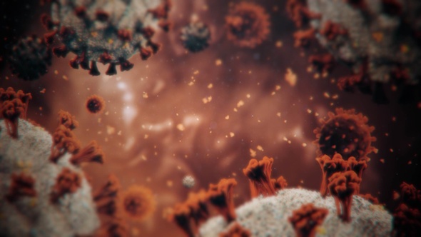 Bg Coronovirus Hd