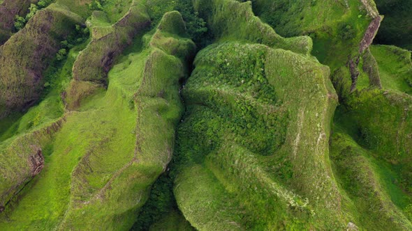 Pure Nature Aerial Background