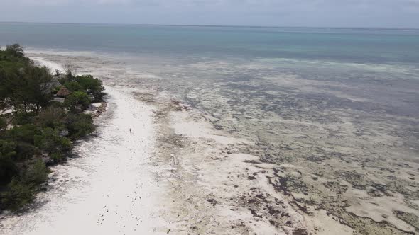 Zanzibar Tanzania  Aerial View of Low Tide in the Ocean Near the Coast