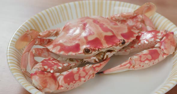 Chinese cuisine steamed Chaozhou frozen crab