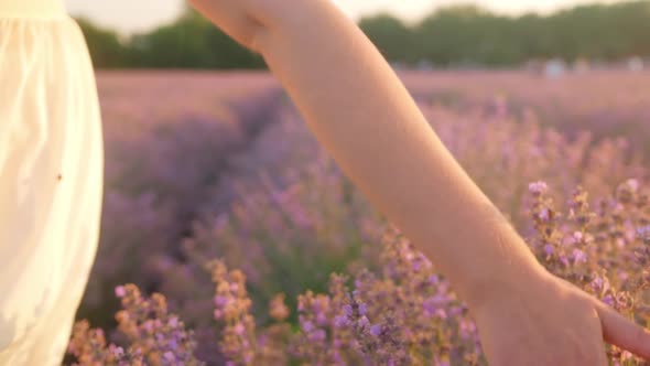 Women's Hands Hugging Bouquet of Flowers