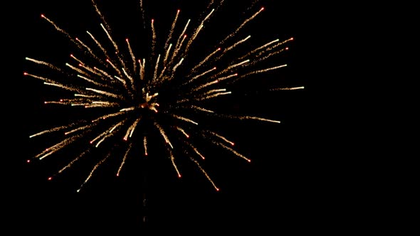 Fireworks against black sky at night