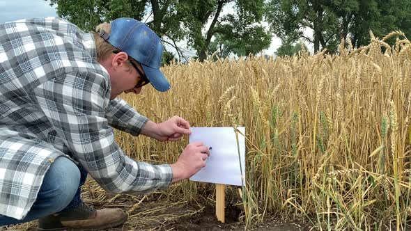 Agronomy Specialist Marking Crop Sign at Experimental Grounds Outdoors