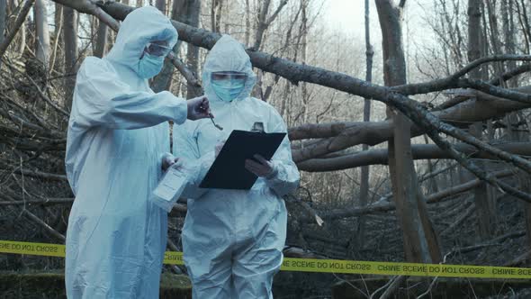 Forensic specialists working in the forest. Crime scene and police concept.