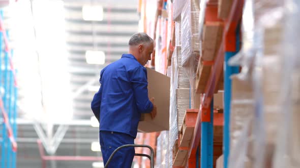 Male warehouse worker using ladder to arrange cardboard box