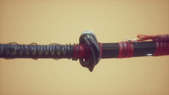 Asian Katana with Ornament Sward on Bright Background