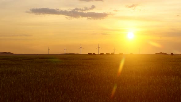 Wind Turbines and Sunset Views alt