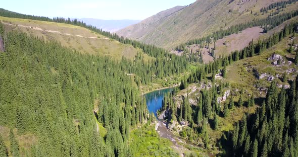 Coniferous trees rise from depths of mountain lake
