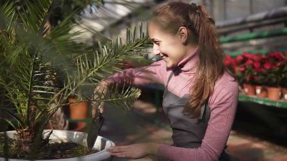 Young Attractive Woman Digs Up the Soil Near Green Palm Tree in the Greenhouse