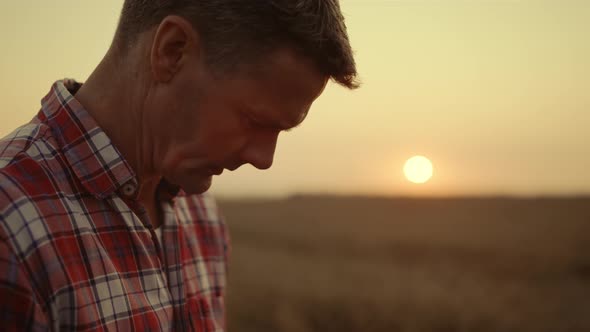 Farmer Face Portrait on Wheat Crop Field Golden Sunlight