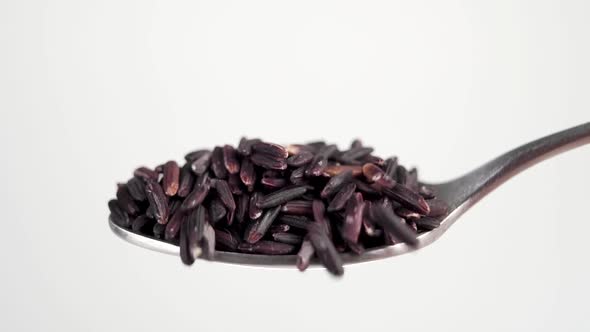 A spoonful of wild black jasmine rice. Macro. Falling uncooked grains in slow motion