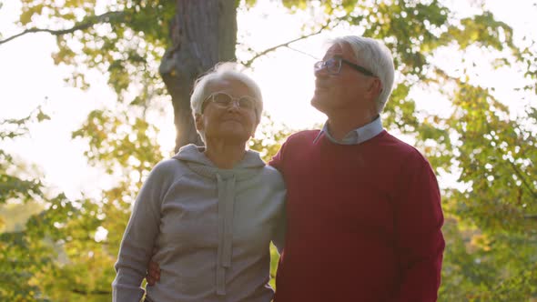 Two Caucasian Grayhaired Pensioners Walking in the Park Embracing Each Other and Talking About Life