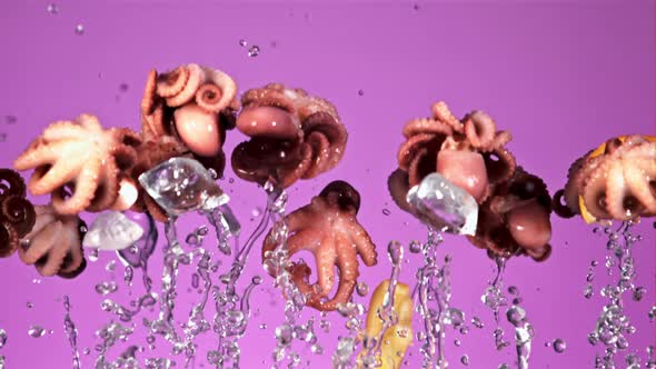 Boiled Octopuses Rise Up and Fall Down