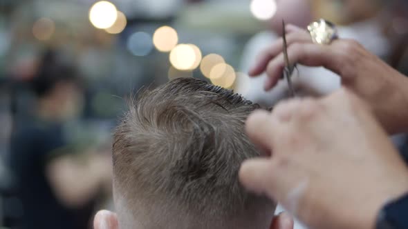 Children's Haircut in the Salon, A Little Boy Gets a Haircut in the Hairdresser. Children's Styling