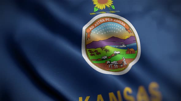 Kansas State Flag Angle