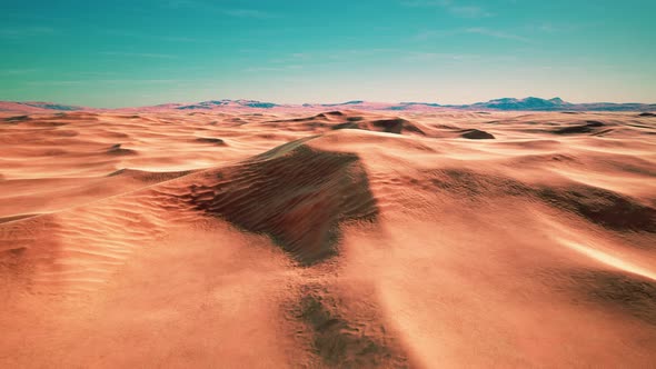 Beautiful Sand Dunes in the Sahara Desert