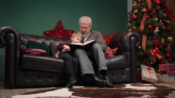Grandfather Reads a Fairy Tale To His Sleeping Grandson
