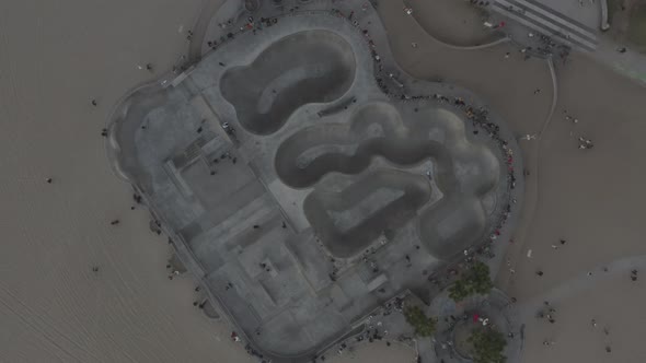 AERIAL: Birds View Down on Venice Beach Skatepark with Visitors,Skaters and Palm Trees, Sunset