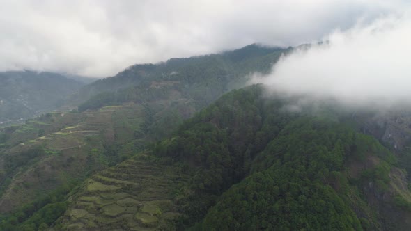 Rice Terraces in the Mountains