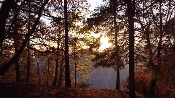 Autumn forest during sunset, European Alps, Lecco, Italy