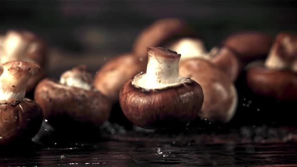 Super Slow Motion One Fresh Mushroom Falls on the Table with Water