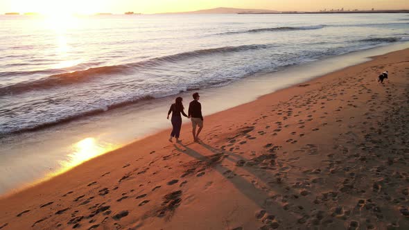 Aerial shot of a couple walking their dog on the beach