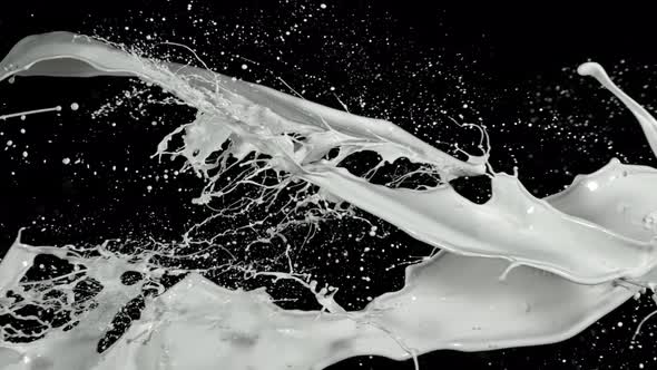 Super Slow Motion Shot of Milk Splash at 1000 Fps Isolated on Black Background