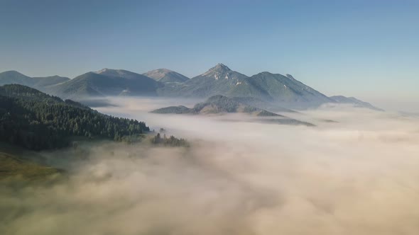 Fly over Foggy Mountains in Sunny Morning