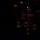 Dewberries Fall Rotating in Water - VideoHive Item for Sale