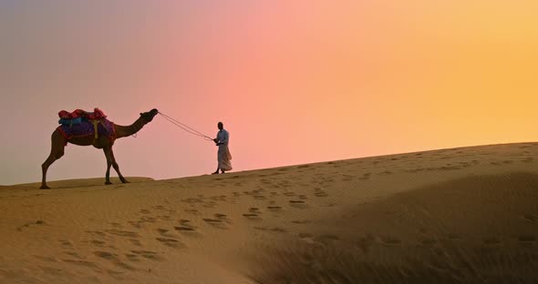Indian Cameleer (Camel Driver) Bedouin Fighting with Stubborn Camel in Sand Dunes of Thar Desert on