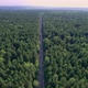 Highway Between Trees - VideoHive Item for Sale