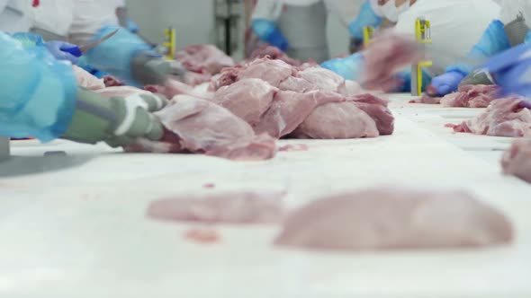 Group Of Butchers Working In A Meat Processing Factory