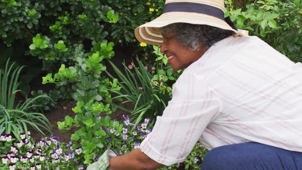 Portrait of senior african american woman wearing gardening gloves planting flowers in the garden