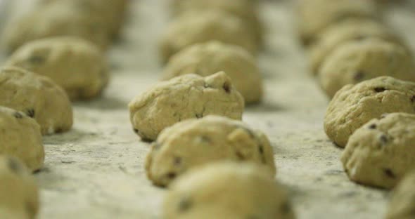 Prepared Dough With Raisins In A Baking Tray - close up