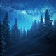 Snow fall in forest at night - VideoHive Item for Sale