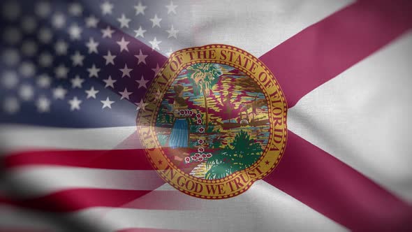 Florida State Usa Mixed Flag Front HD