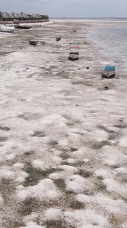 Tanzania  Vertical Video of Low Tide in the Ocean Near the Coast of Zanzibar Slow Motion