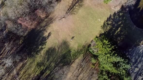 Top down revolving aerial shot of long shadows of two people in a meadow in the park. Slow motion.