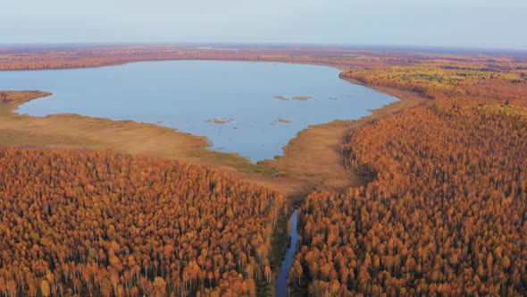 Aerial Top View of Beautiful Lake Surrounded By Colorful Forest in Autumn