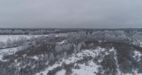 Winter Landscape Forest Field