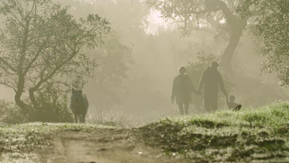 A young couple walk on a misty morning with a toddler and a dog