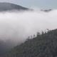 Hillside Covered By Pine Forest with Clouds - VideoHive Item for Sale