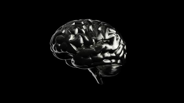 Dark Steel Human Brain with Reflections Looped Animation